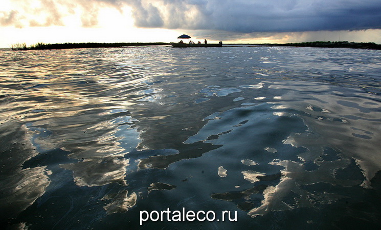  Нефтяное пятно на поверхности воды в заливе Баратария 19 июня